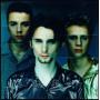 Muse